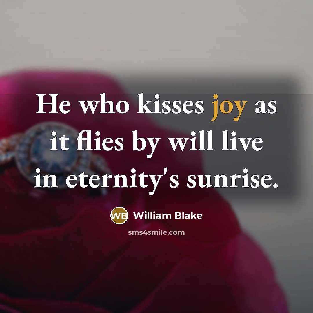 “He who kisses joy as it flies by will live…” quote by William Blake