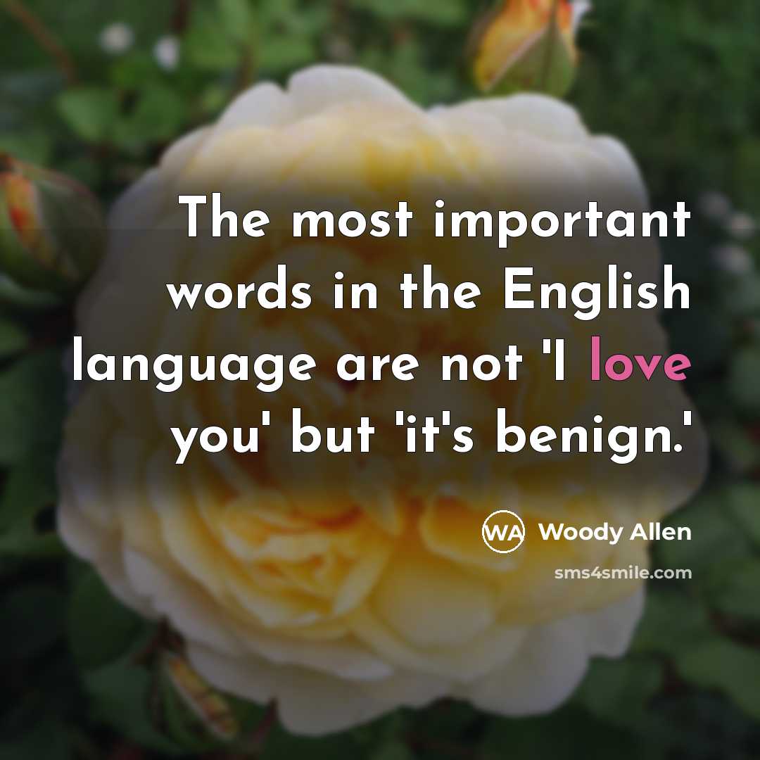 “The most important words in the English language are not…” quote by Woody Allen