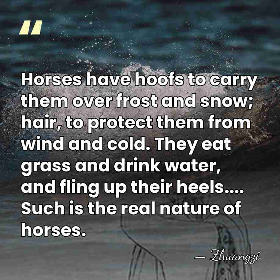 Horses have hoofs to carry them over frost and snow; hair, to&hellip; - Zhuangzi