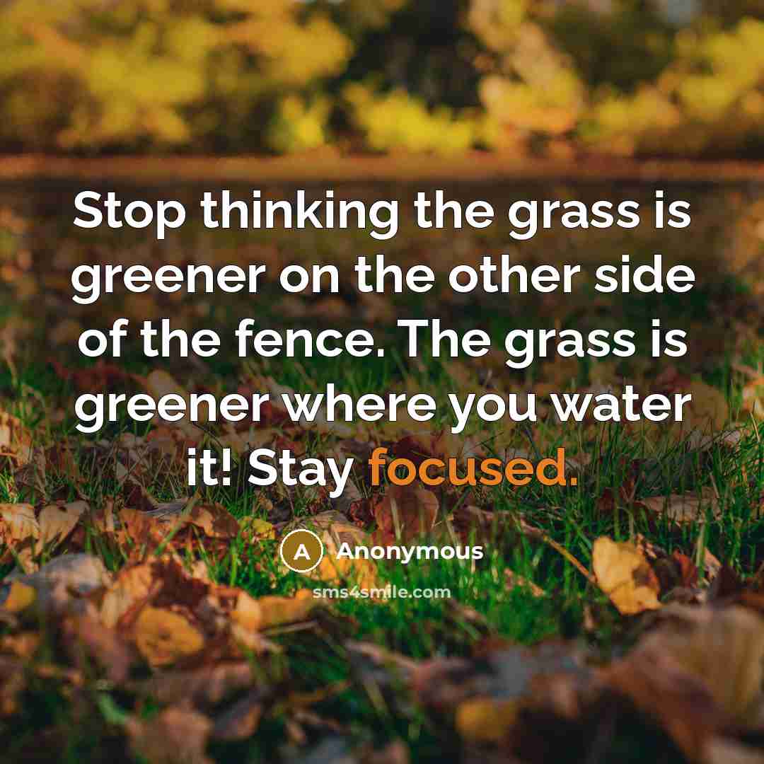 “Stop thinking the grass is greener on the other side of the fence. The grass is greener where you water it! Stay focused.” quote by Anonymous