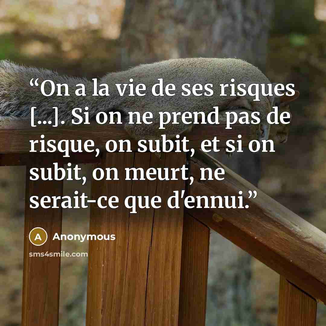 “On a la vie de ses risques [...]. Si on ne prend pas de risque, on subit, et si on subit, on meurt, ne serait-ce que d'ennui.” quote by Anonymous