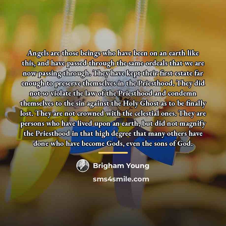“Angels are those beings who have been on an earth…” quote by Brigham Young