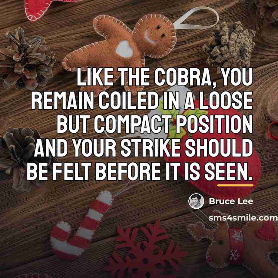 “Like the cobra, you remain coiled in a loose but…” quote by Bruce Lee
