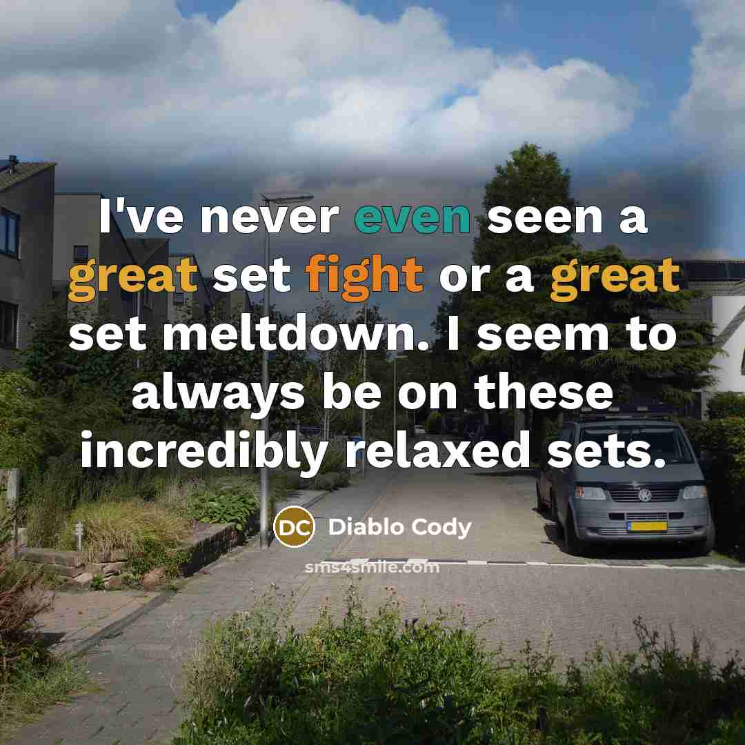 “I've never even seen a great set fight or a…” quote by Diablo Cody