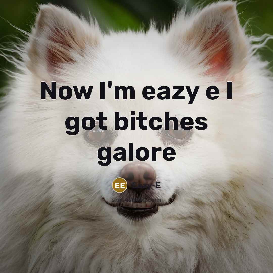 “Now I'm eazy e I got bitches galore” quote by Eazy-e