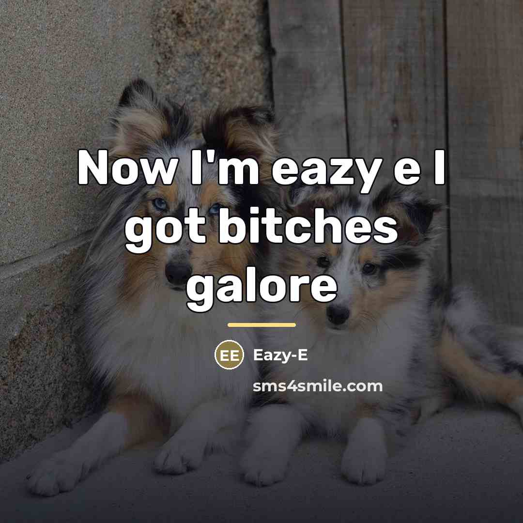 “Now I'm eazy e I got bitches galore…” quote by Eazy-e