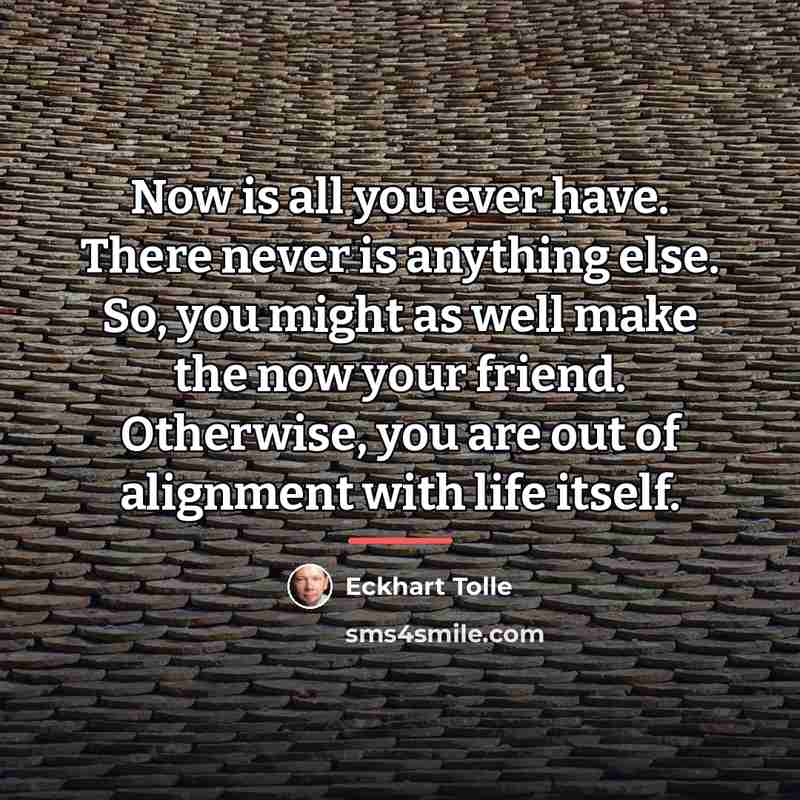 “Now is all you ever have. There never is anything…” quote by Eckhart Tolle