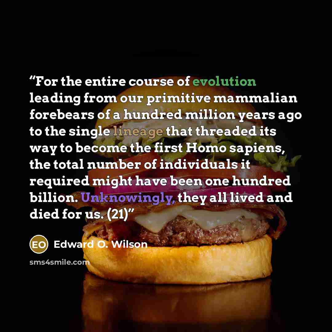 “For the entire course of evolution leading from our primitive mammalian forebears of a hundred million years ago to the single lineage that threaded its way to become the first Homo sapiens, the total number of individuals it required might have been one hundred billion. Unknowingly, they all…” quote by Edward O. Wilson