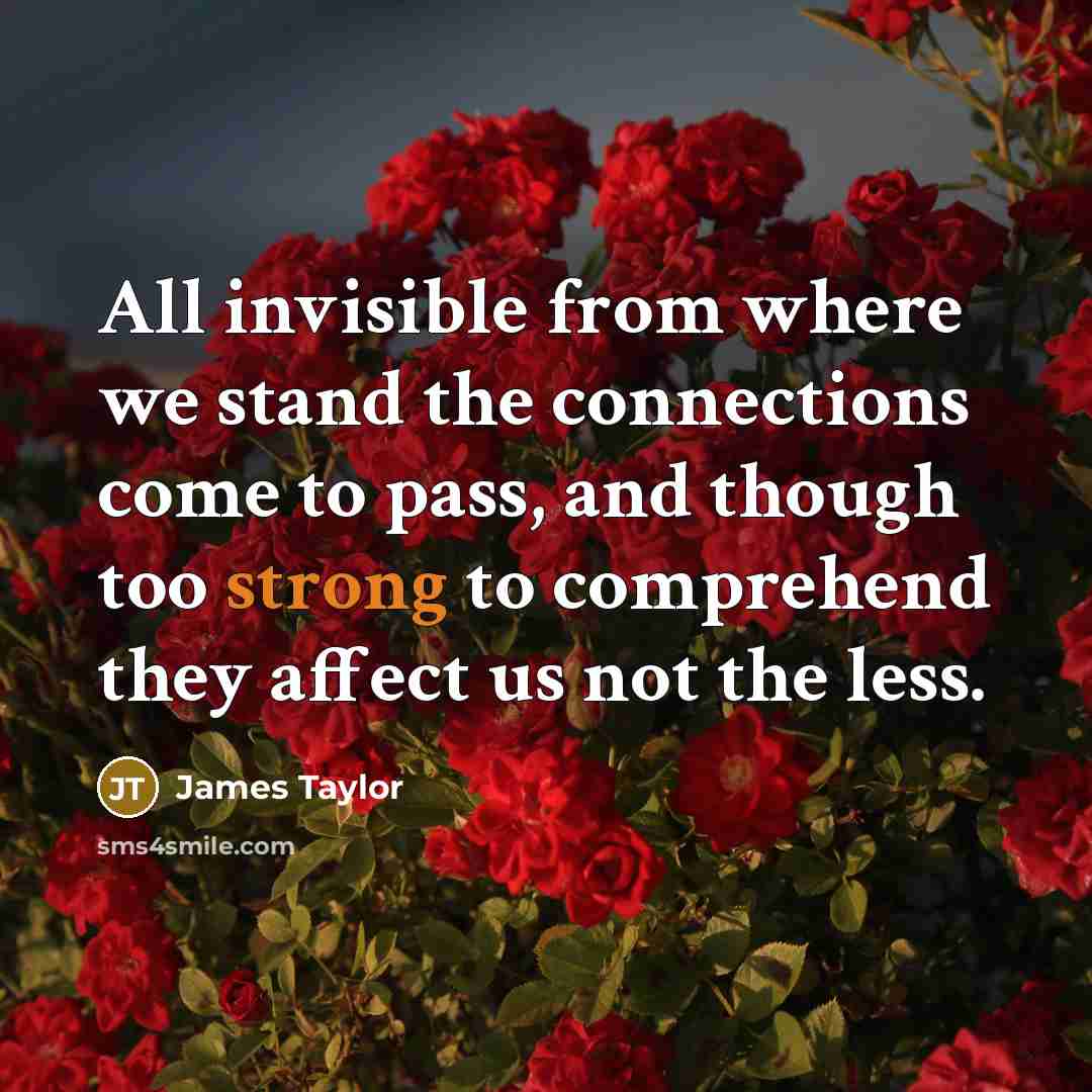 “All invisible from where we stand the connections come to…” quote by James Taylor