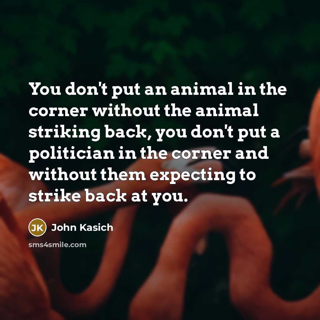 “You don't put an animal in the corner without the…” quote by John Kasich
