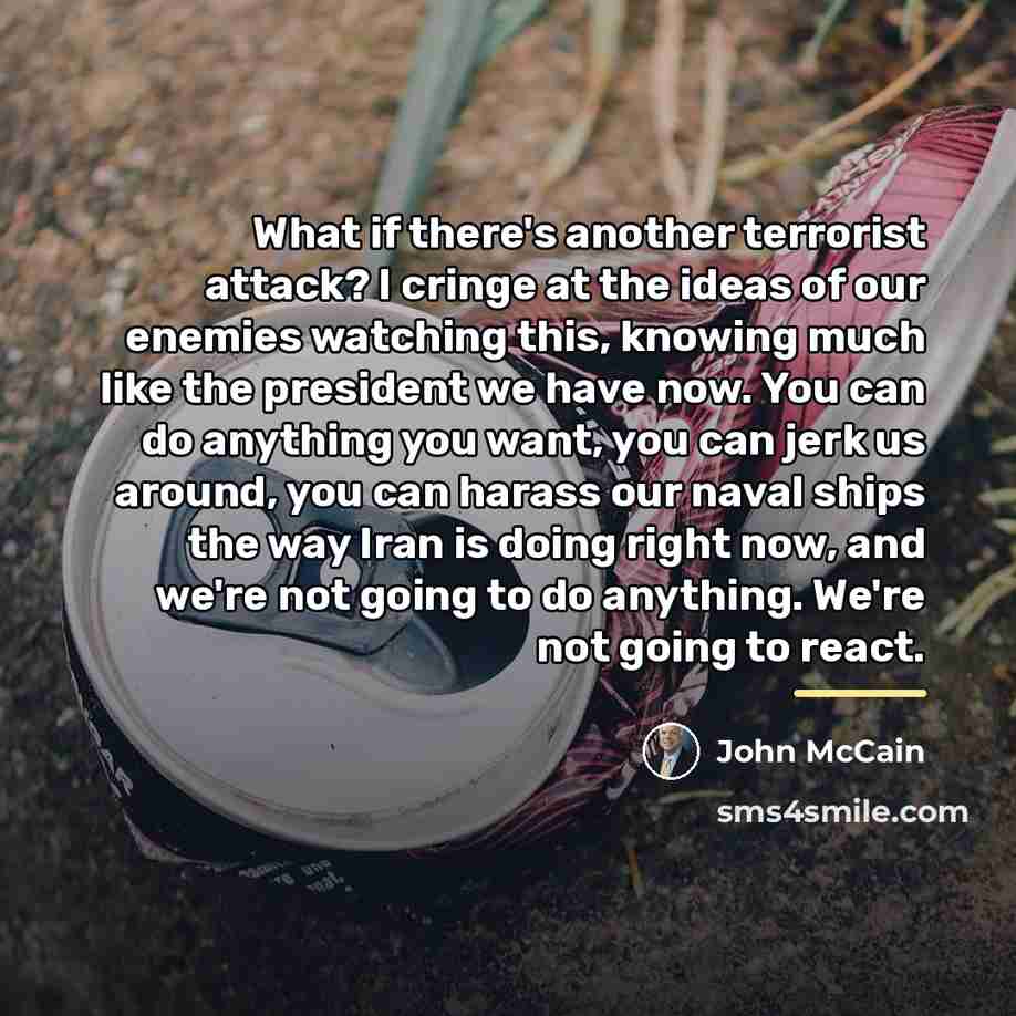 “What if there's another terrorist attack? I cringe at the…” quote by John McCain