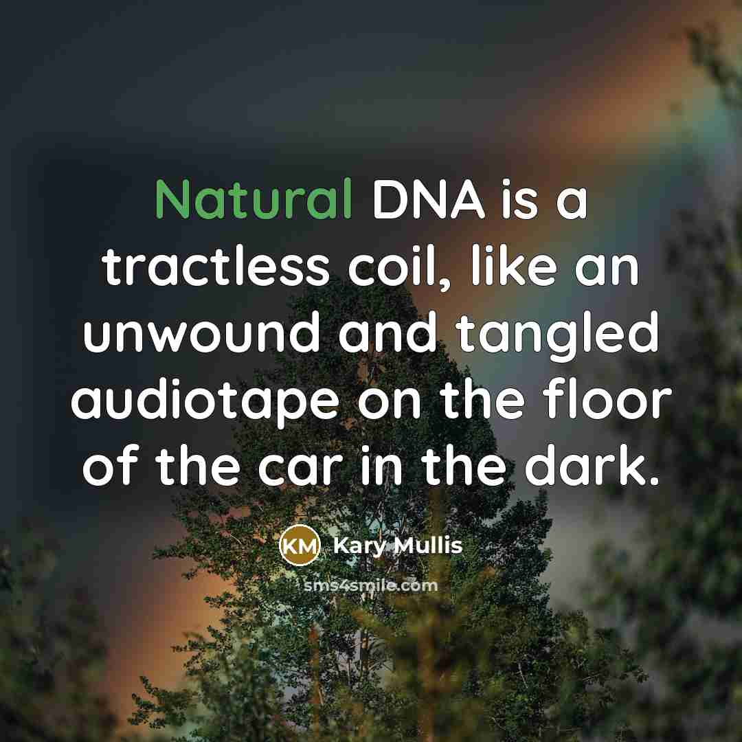 “Natural DNA is a tractless coil, like an unwound and…” quote by Kary Mullis