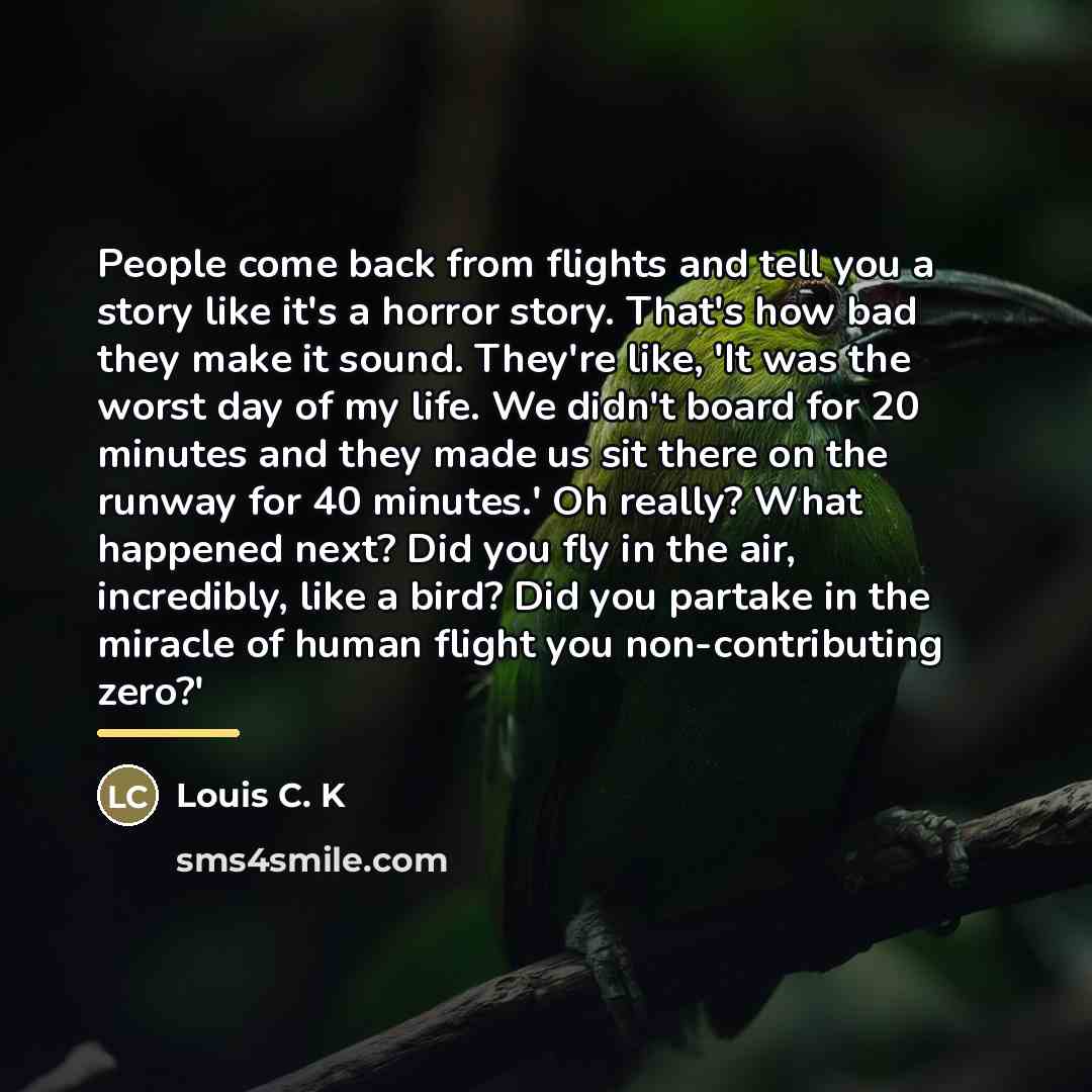 “People come back from flights and tell you a story…” quote by Louis C. K