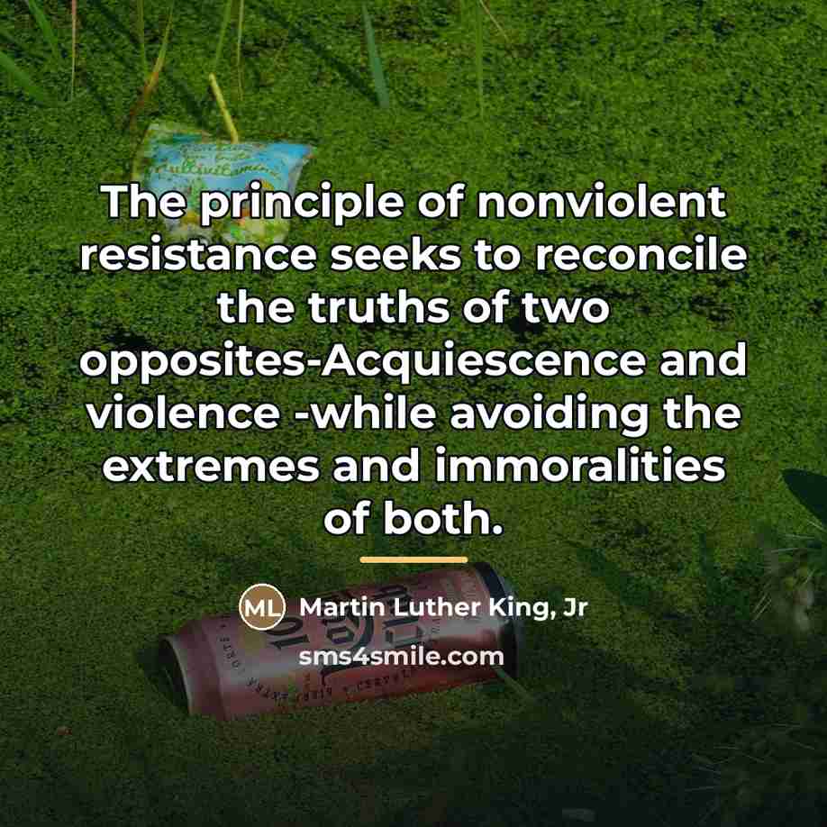 “The principle of nonviolent resistance seeks to reconcile the truths…” quote by Martin Luther King, Jr