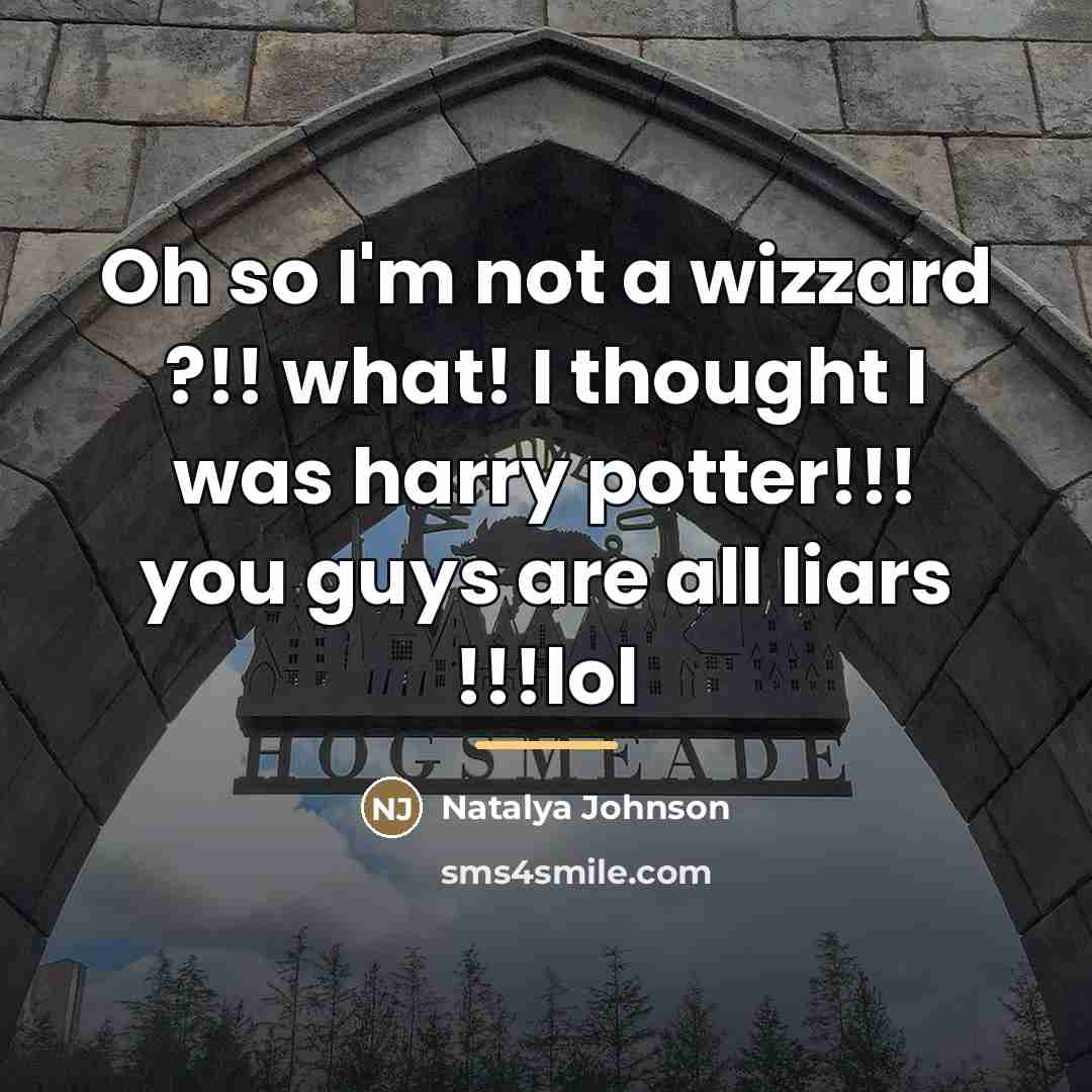 “Oh so I'm not a wizzard ?!! what! I thought…” quote by Natalya Johnson