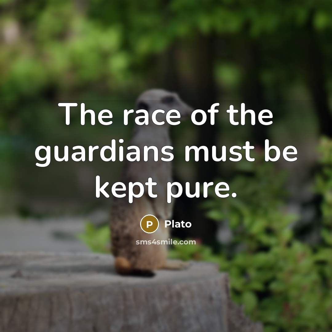 “The race of the guardians must be kept pure.…” quote by Plato