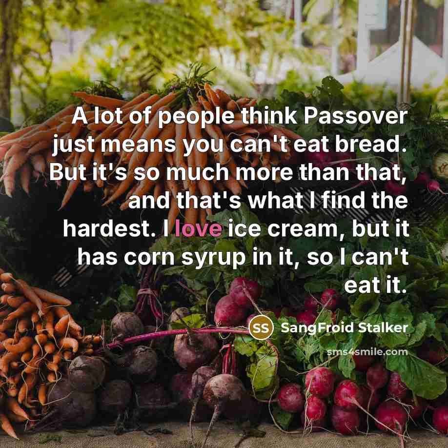 “A lot of people think Passover just means you can't eat bread. But it's so much more than that, and that's what I find the hardest. I love ice cream, but it has corn syrup in it, so I can't eat it.” quote by SangFroid Stalker
