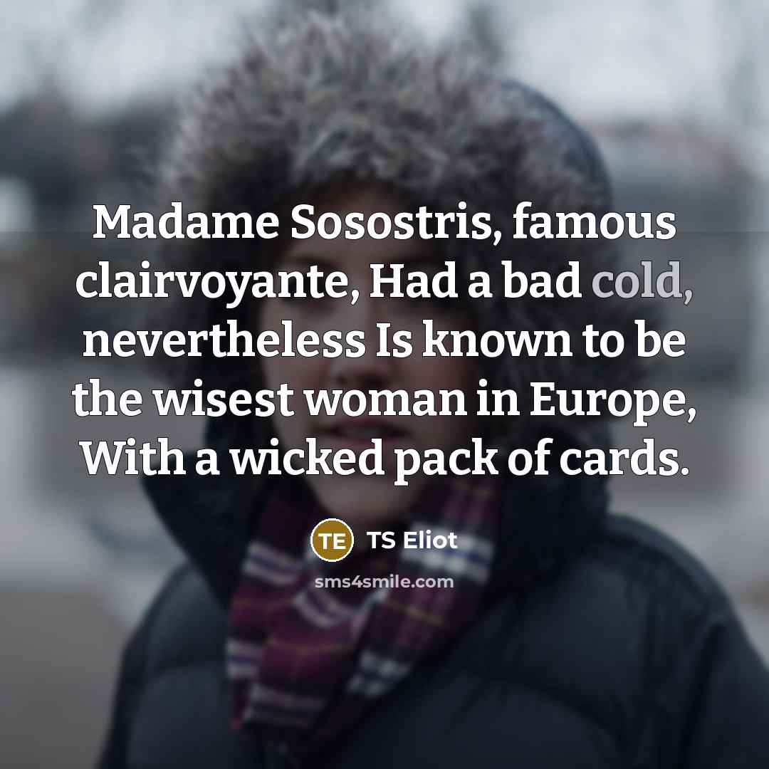 “Madame Sosostris, famous clairvoyante, Had a bad cold, nevertheless Is…” quote by TS Eliot