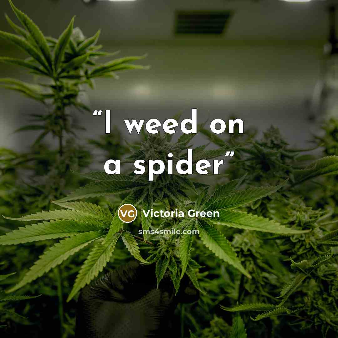 “I weed on a spider” quote by Victoria Green
