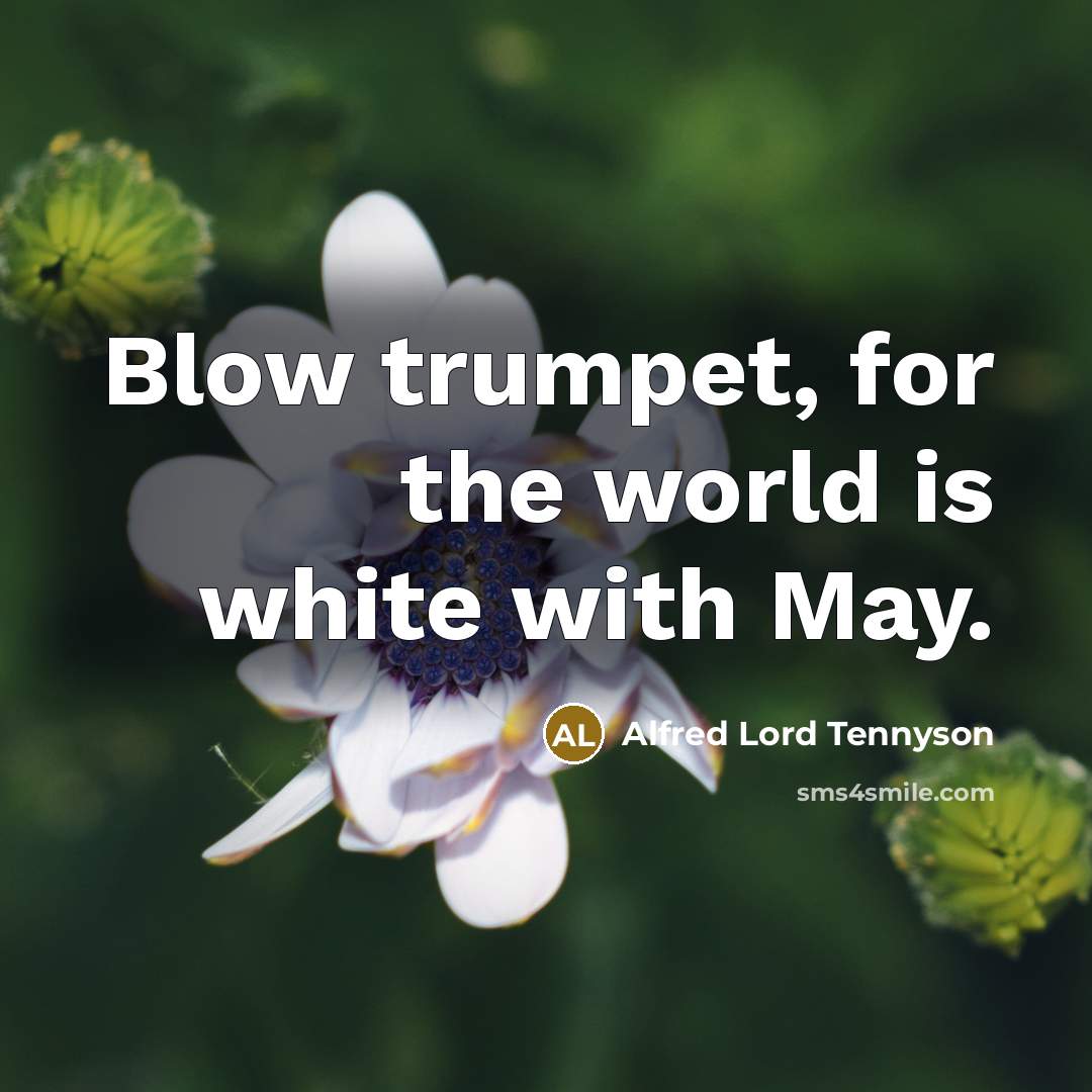 “Blow trumpet, for the world is white with May.…” quote by Alfred Lord Tennyson