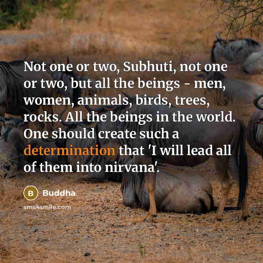 “Not one or two, Subhuti, not one or two, but…” quote by Buddha