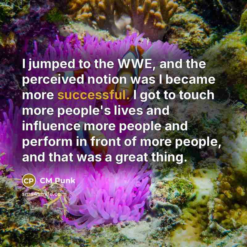 “I jumped to the WWE, and the perceived notion was…” quote by CM Punk