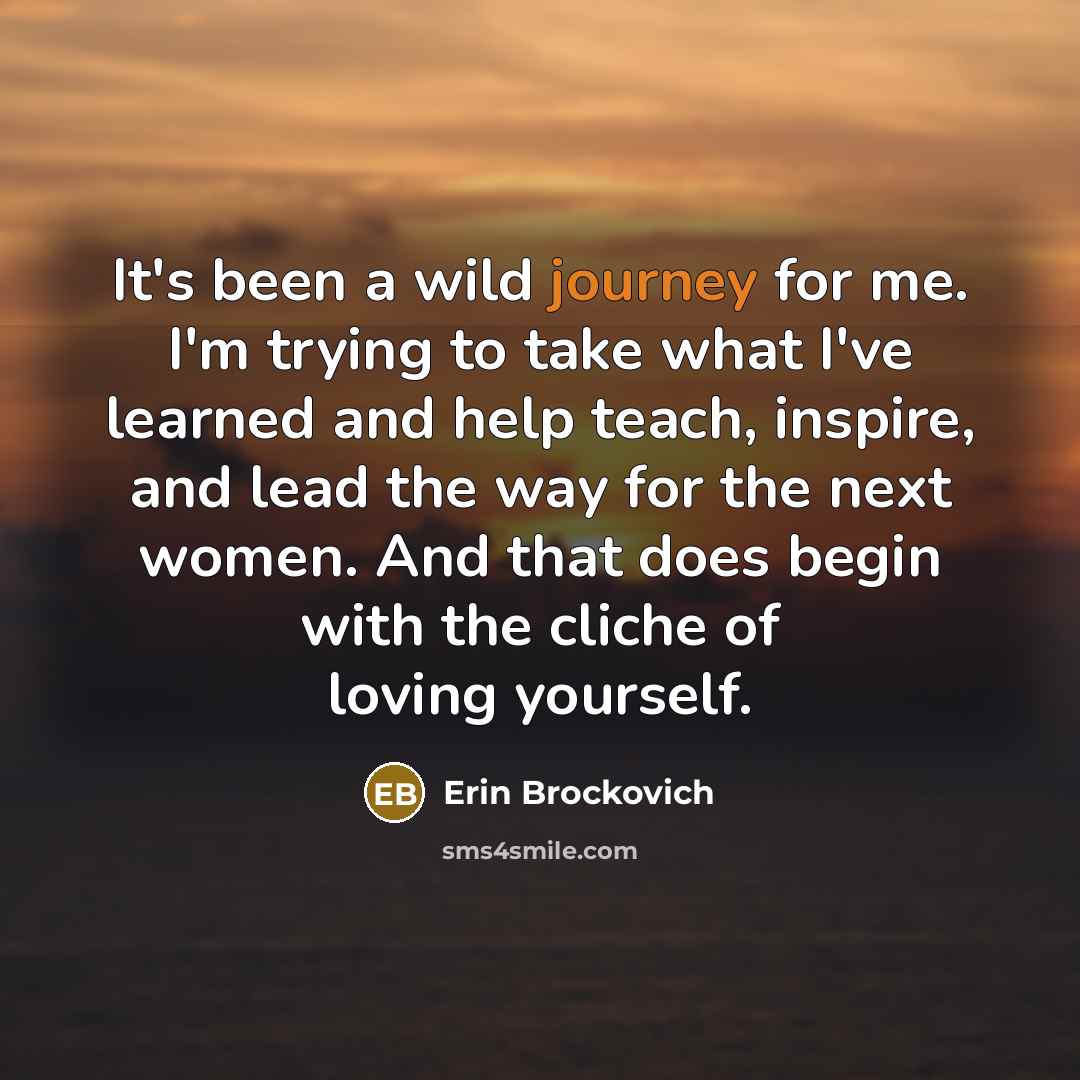 “It's been a wild journey for me. I'm trying to…” quote by Erin Brockovich