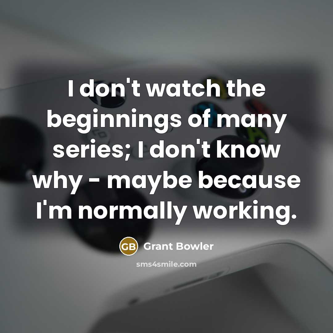 “I don't watch the beginnings of many series; I don't…” quote by Grant Bowler