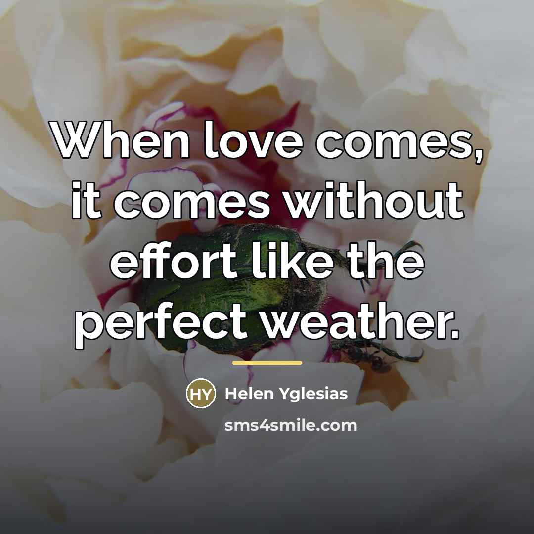 “When love comes, it comes without effort like the perfect…” quote by Helen Yglesias