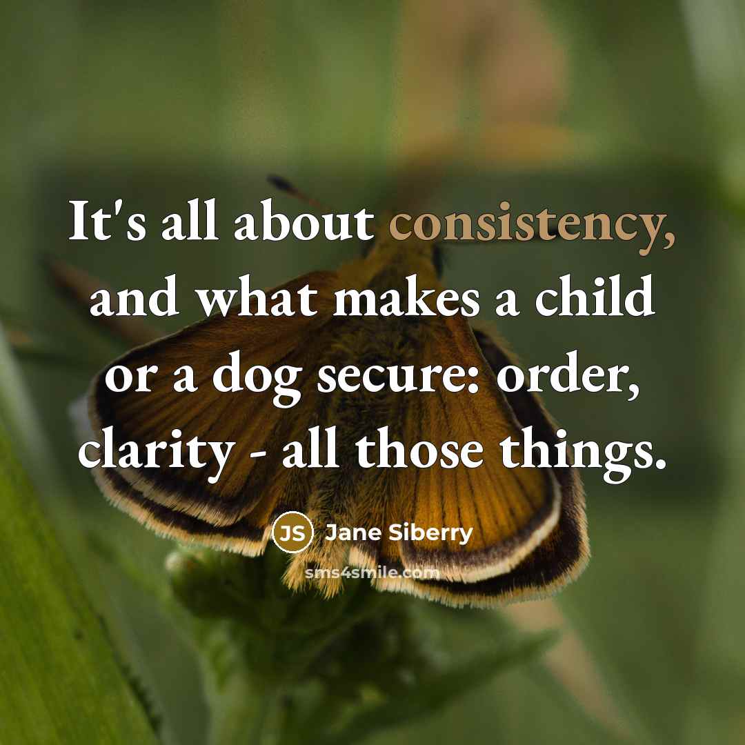 “It's all about consistency, and what makes a child or…” quote by Jane Siberry