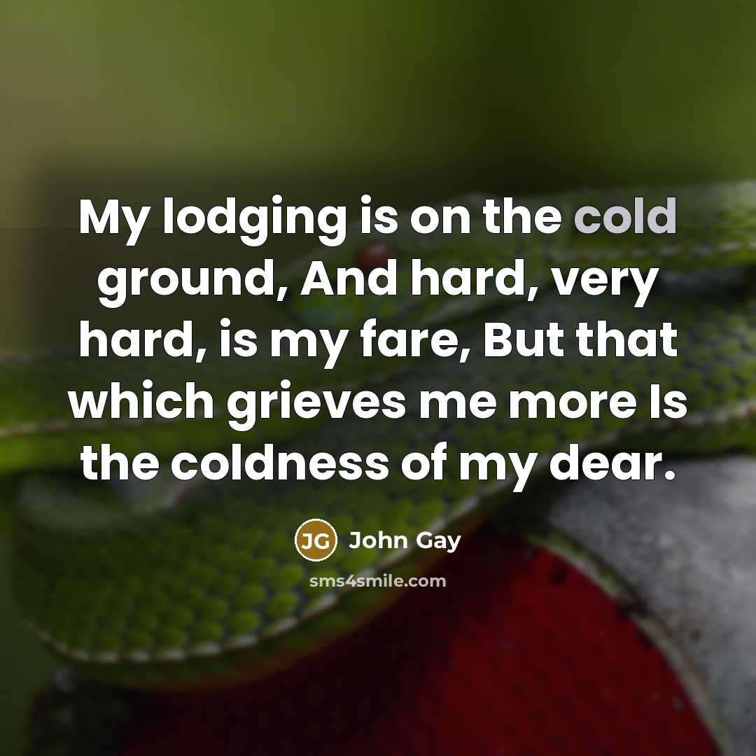 “My lodging is on the cold ground, And hard, very…” quote by John Gay