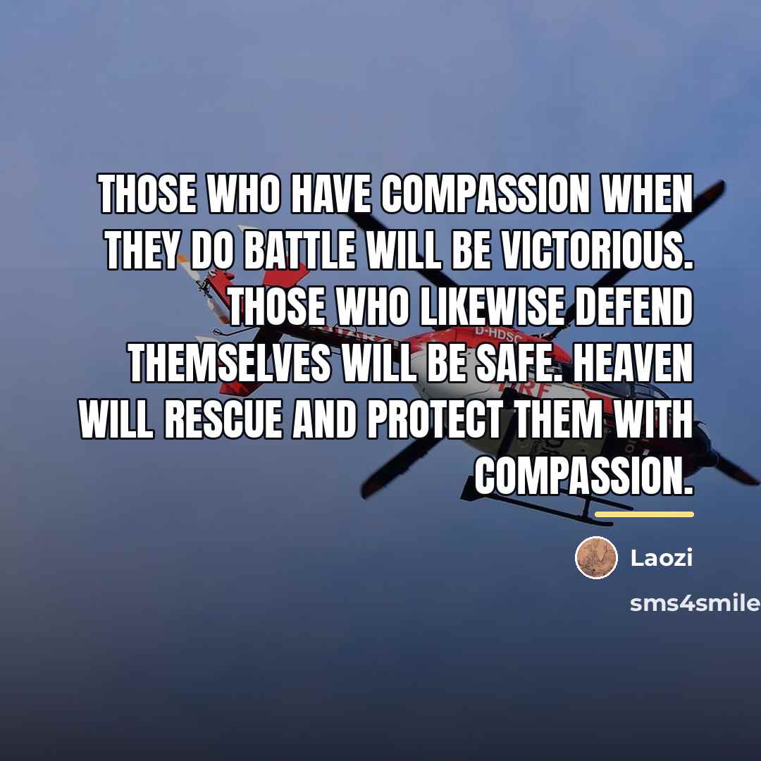 “Those who have compassion when they do battle will be…” quote by Laozi