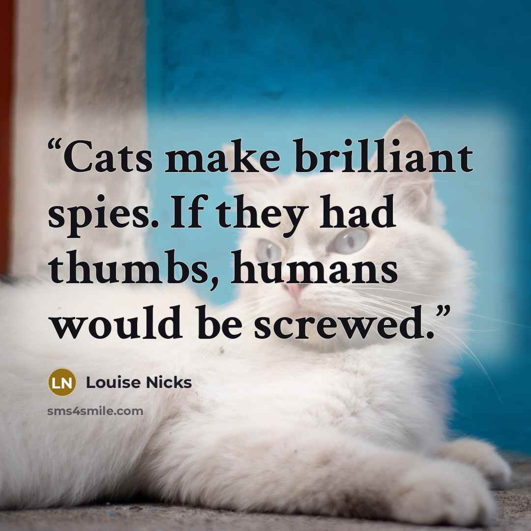 “Cats make brilliant spies. If they had thumbs, humans would be screwed.” quote by Louise Nicks
