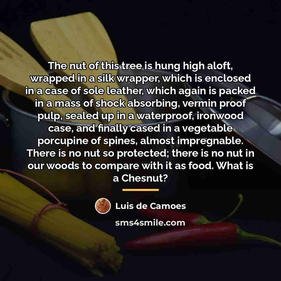 “The nut of this tree is hung high aloft, wrapped…” quote by Luis de Camoes