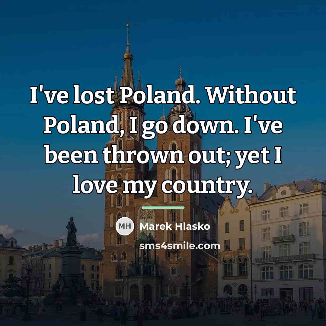 “I've lost Poland. Without Poland, I go down. I've been…” quote by Marek Hlasko