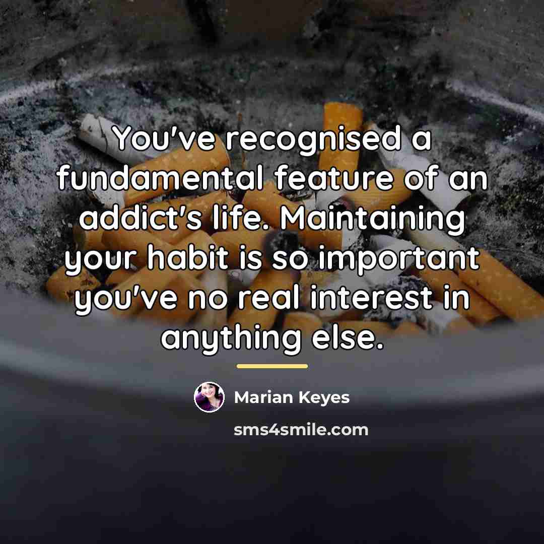 “You've recognised a fundamental feature of an addict's life. Maintaining…” quote by Marian Keyes
