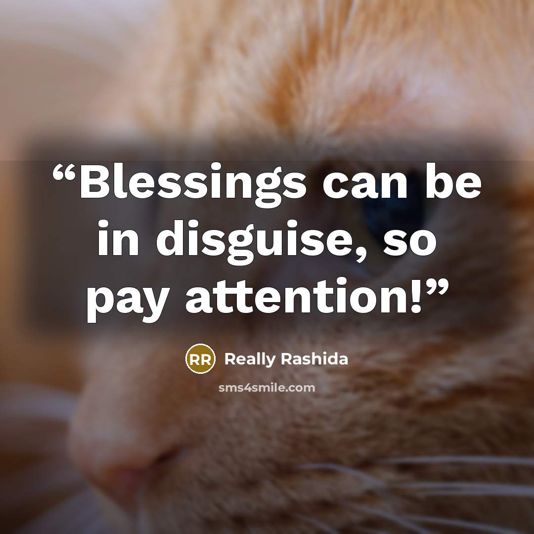 “Blessings can be in disguise, so pay attention!” quote by Really Rashida