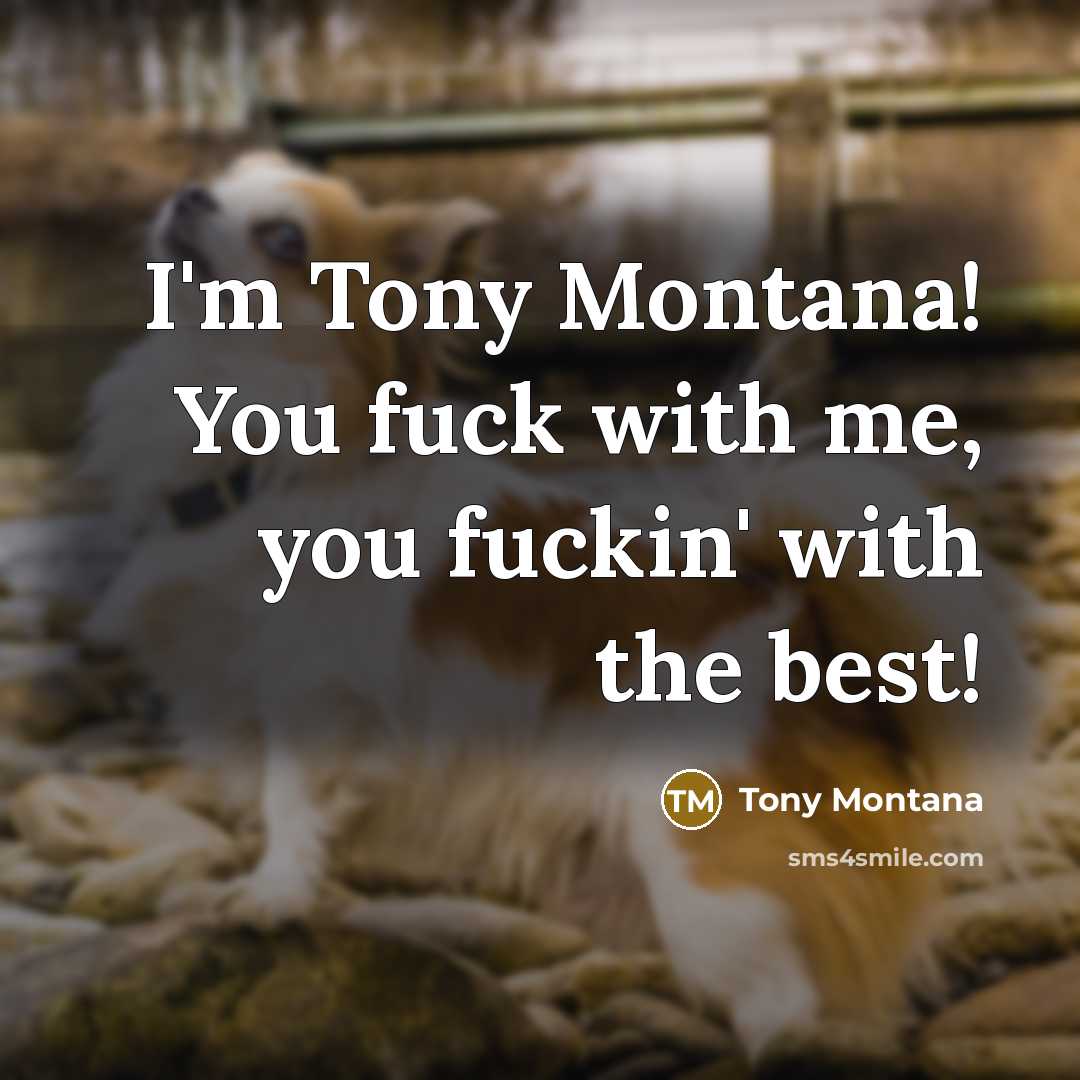“I'm Tony Montana! You fuck with me, you fuckin' with the best!” quote by Tony Montana
