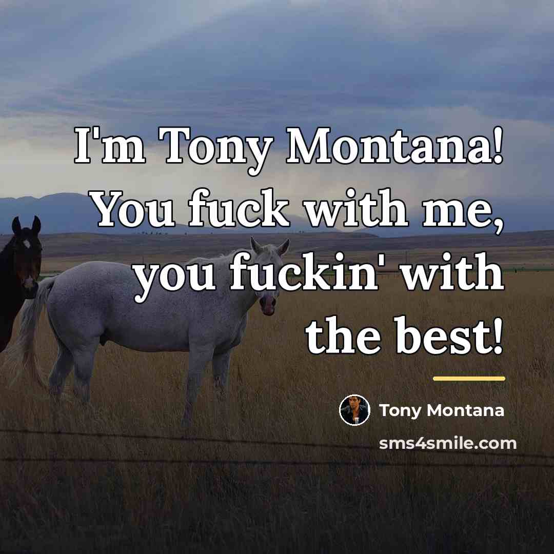 “I'm Tony Montana! You fuck with me, you fuckin' with…” quote by Tony Montana