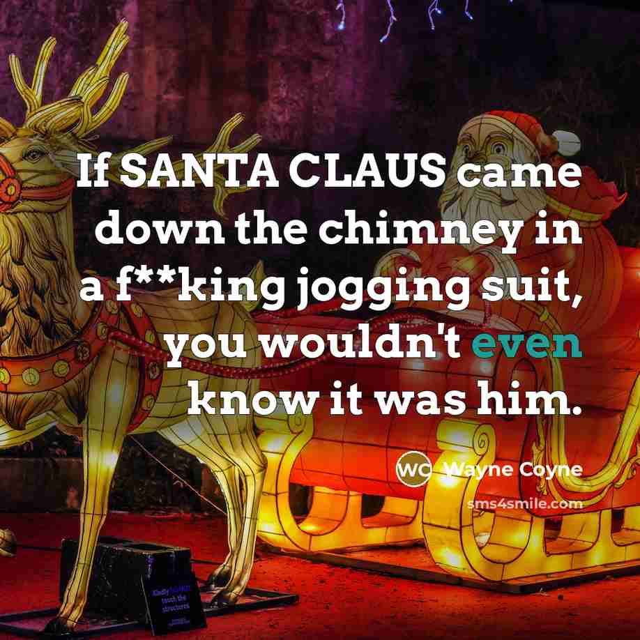 “If SANTA CLAUS came down the chimney in a f**king…” quote by Wayne Coyne