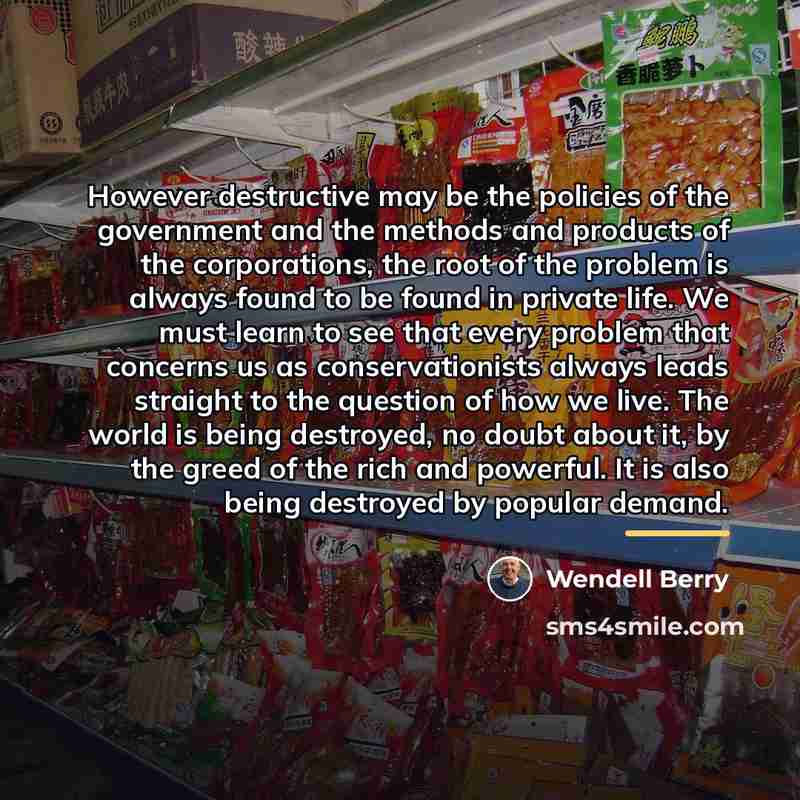 “However destructive may be the policies of the government and…” quote by Wendell Berry