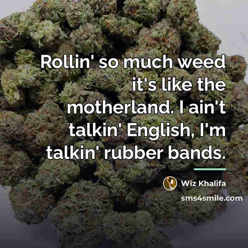 “Rollin' so much weed it's like the motherland. I ain't…” quote by Wiz Khalifa