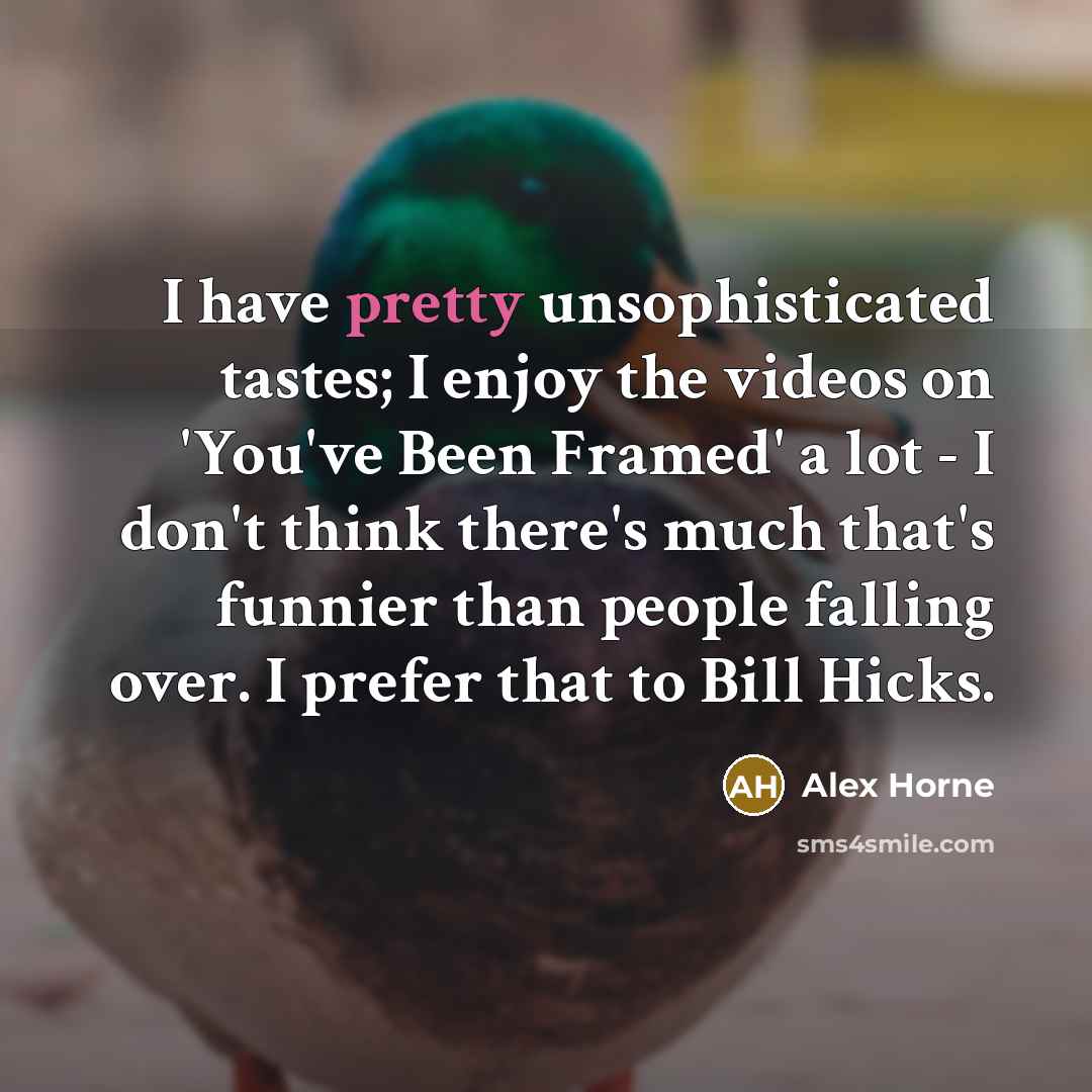 “I have pretty unsophisticated tastes; I enjoy the videos on…” quote by Alex Horne