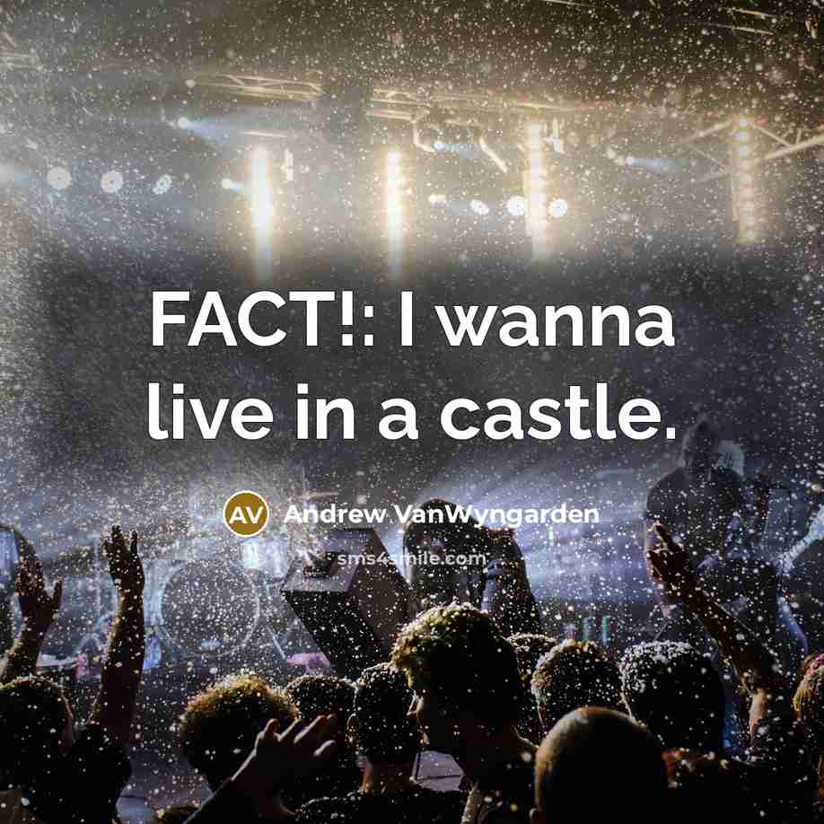 “FACT!: I wanna live in a castle.…” quote by Andrew VanWyngarden