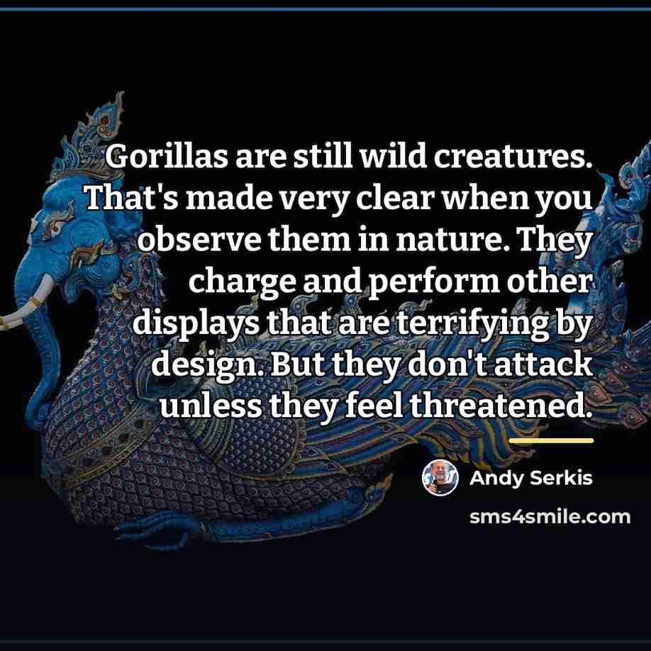 “Gorillas are still wild creatures. That's made very clear when…” quote by Andy Serkis