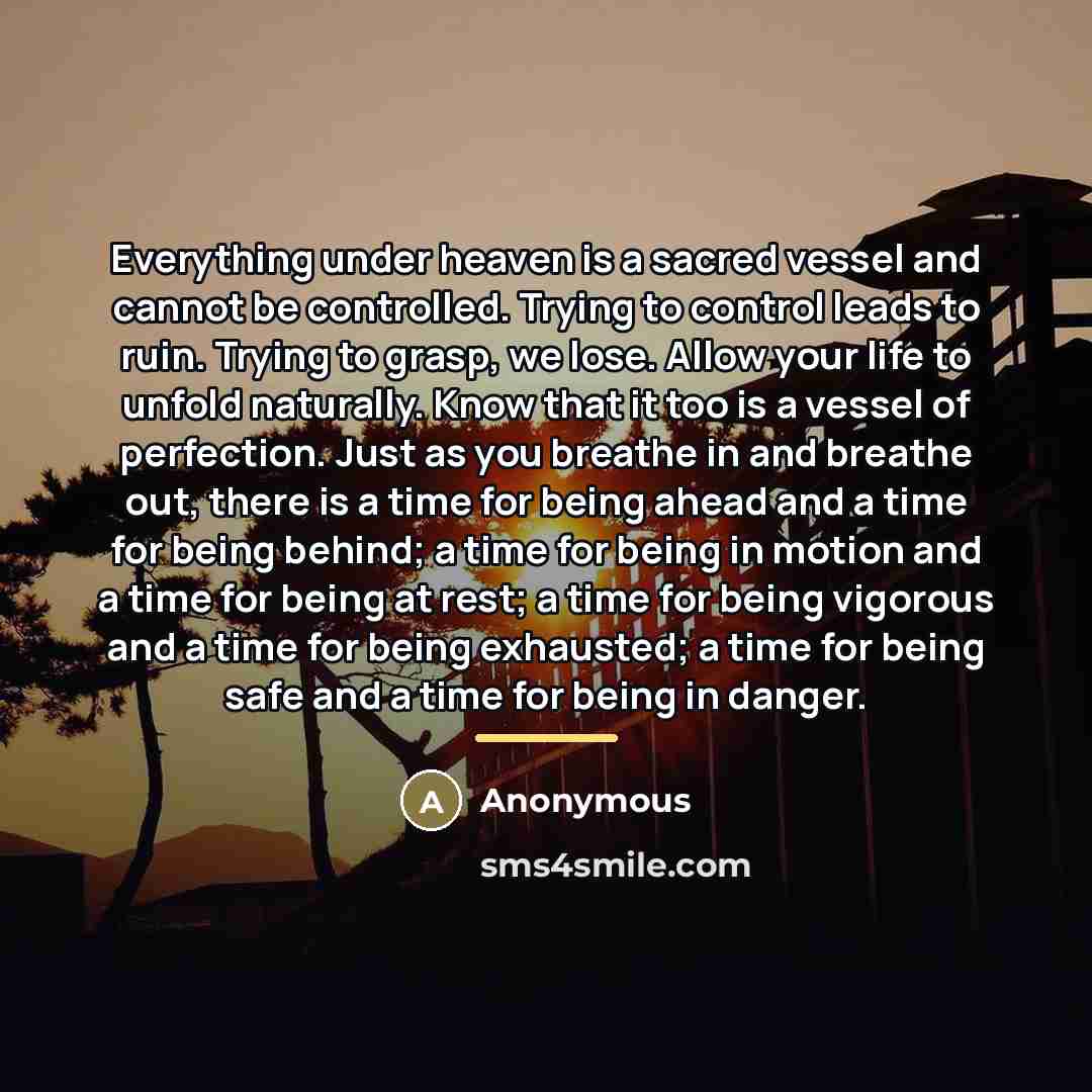“Everything under heaven is a sacred vessel and cannot be…” quote by Anonymous