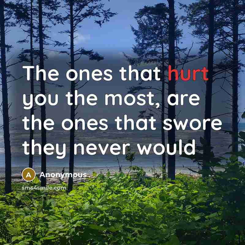 “The ones that hurt you the most, are the ones that swore they never would” quote by Anonymous