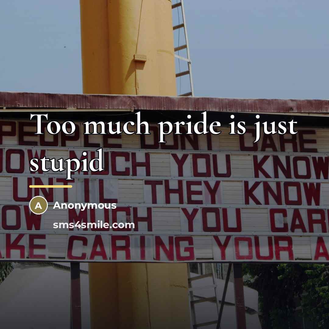 “Too much pride is just stupid…” quote by Anonymous