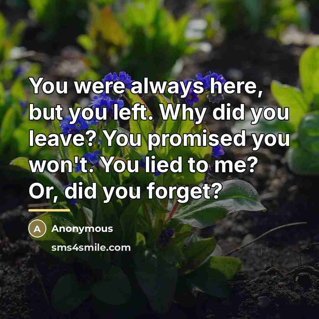 “You were always here, but you left. Why did you leave? You promised you won't. You lied to me? Or, did you forget?” quote by Anonymous