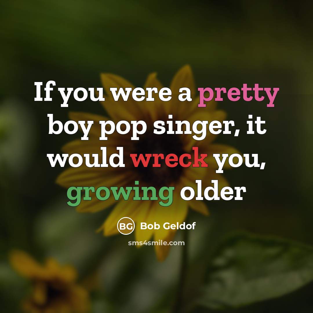 “If you were a pretty boy pop singer, it would…” quote by Bob Geldof